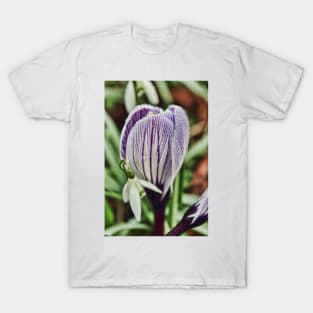 crocus snowdrop and water droplets T-Shirt